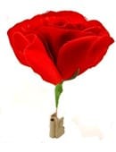 Match to Rose Trick