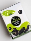 Matcha Boba Playing Cards Deck of Cards
