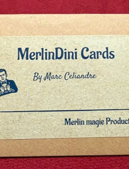 MerlinDini Cards Trick