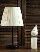 Milk in Light Bulb Trick