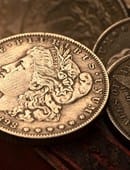 Mini Morgan (pack of 5) Accessory