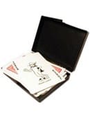 Miracle Card Case Trick
