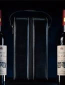 Miracle Wine Bottles Carrying Bag Accessory