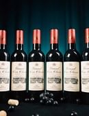 Miracle Wine Bottles Trick