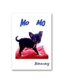 Mo Mo Book