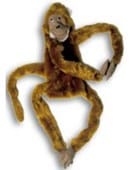 Monkey For Ventriloquism Trick