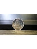 Authentic Silver Morgan Dollar (Single Coin) Trick