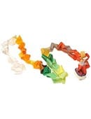 Mouth Coil 46 ft Accessory