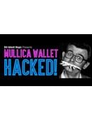 Mullica Wallet Hacked! Trick