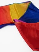 Multicolored Silk Streamer 7 inch Trick