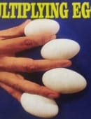 Multiplying Eggs Trick