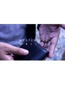 Mysterious Wallet Video download