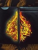 Nirvana Playing Cards Deck of cards