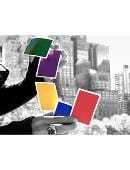 NOC V3S Deck (Purple) Deck of cards