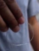 Omni Band Video download
