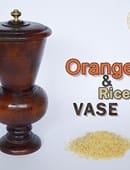 Orange and Rice Vase Trick