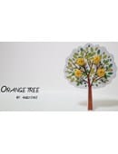 Orange Tree Trick