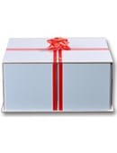 Party Surprise Box Trick