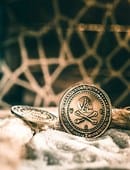 Pirate Coin Accessory