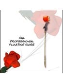 Pro Floating Rose Trick