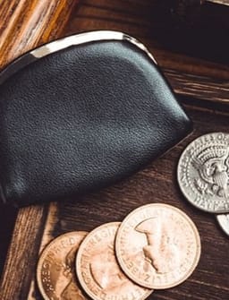 Professional Coin Purse Trick