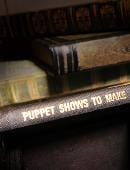 Puppet Shows to Make Book