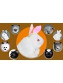 Rabbit Hand Puppet Trick