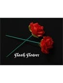 Red Flash Flower  - Trick