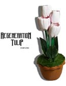 Regeneration Tulip Accessory