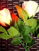 Rose Light (Red) Trick