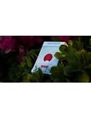 Sakura V2 Playing Cards Deck of Cards