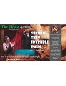Second Skin Invisible Palm Magic download (video)