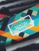 Sentio Accessory and download