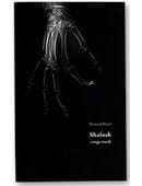 Shalosh: Stage Work Book