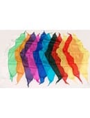 Silks Diamond 12 inch 12 Pack  Magic Accessory