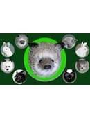Silver Fox Spring Animal Accessory