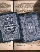 Sorcerer's Apprentice Playing Cards Deck of Cards