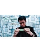 Split Gum Video download