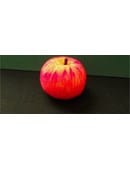 Sponge Apple Accessory