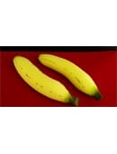 Sponge Bananas Accessory
