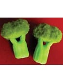 Sponge Broccoli Accessory