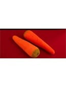 Sponge Carrots (2 pieces) Accessory