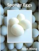 Sponge Eggs (4 pack) Accessory