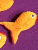 SPONGE GOLDFISH Trick