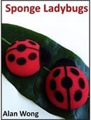 Sponge Lady Bugs Accessory