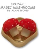 Sponge Mushrooms Accessory