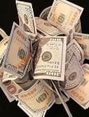 Spring Bills (Multiple Currencies Available) Accessory