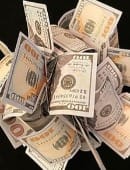 Spring Bills (Multiple Currencies Available) Accessory
