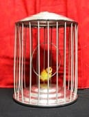 Spring Production Birdcage Trick