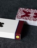 Stripper Butterfly Playing Cards (Version 2 | Marked) Deck of Cards